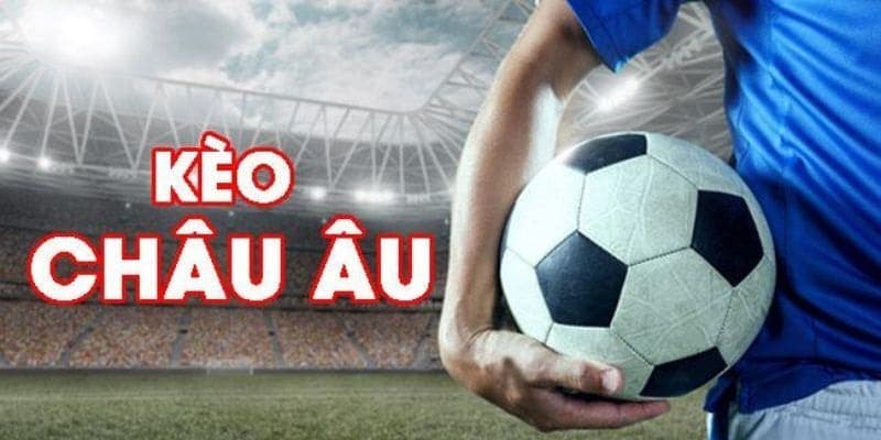 Bongvip - Nhà Cái Đẳng Cấp Với Tỷ Lệ Kèo Tốt Nhất 2024 Bí quyết giữ vững ngôi vương của bongvip