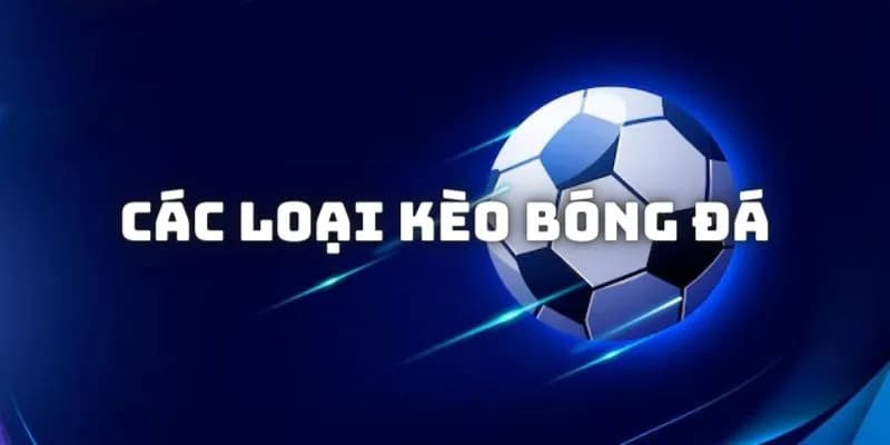 Bongvip - Nhà Cái Đẳng Cấp Với Tỷ Lệ Kèo Tốt Nhất 2024 Tầm nhìn của nhà cái bongvip