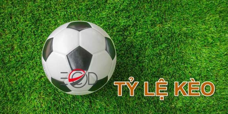 868vip – Nhà Cái Cá Cược Trực Tuyến Uy Tín, Thưởng Nạp 100% Tổng quan về nhà cái 868vip