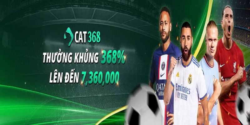 Cat368 - Nhà Cái Trực Tuyến Được Nhiều Người Lựa Chọn Chơi Tổng quan những thông tin về nhà cái Cat368
