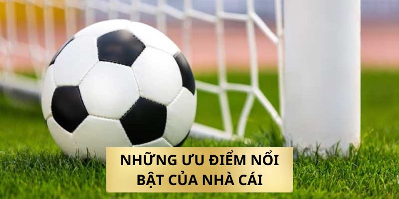 M88vin - Địa Chỉ Cá Cược Uy Tín Với Tỷ Lệ Cược Cao 2024 Sơ lược về giới thiệu về nhà cái M88vin