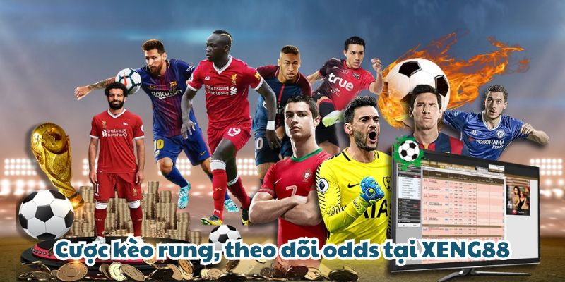 Làm Giàu Cùng XENG88 - Tỷ Lệ Kèo Nhà Cái Hot Nhất 2025 Cược kèo rung, theo dõi odds tại XENG88