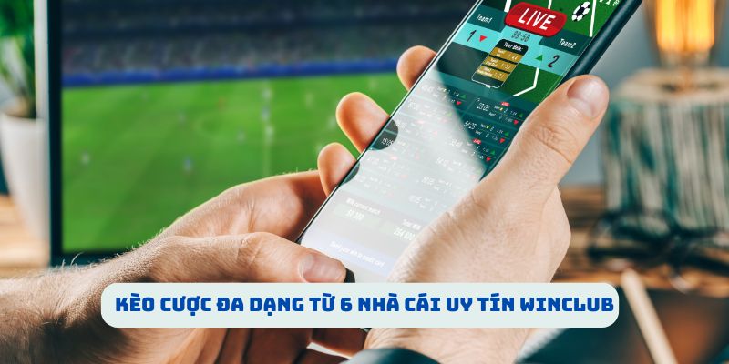 Nhà Cái WINCLUB – Tỷ Lệ Kèo Cao Chót Vót, Thắng Lớn Cực Dễ! Kèo cược đa dạng từ 6 nhà cái uy tín WINCLUB