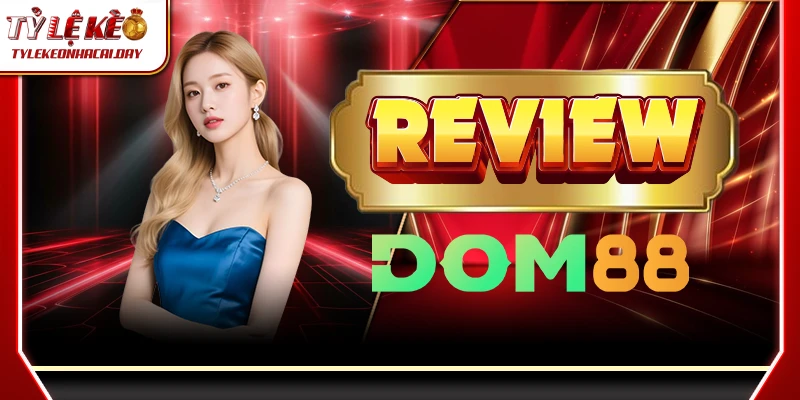 dom88 1